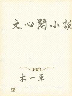 文心阁小说