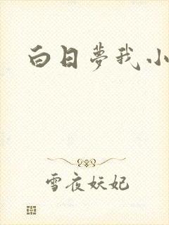 白日梦我小说