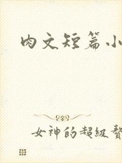 肉文短篇小说