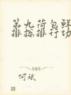 第九荷包鲜辣肉排总排行功能介绍