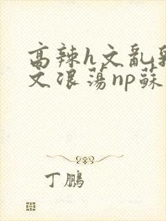 高辣h文乱乳h文浪荡np苏夏