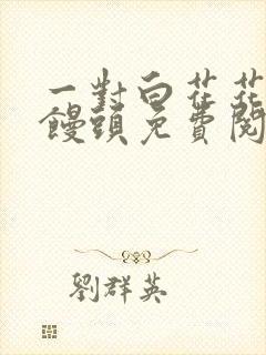 一对白花花的大馒头免费阅读