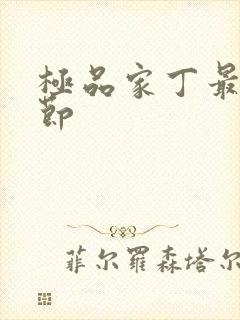 极品家丁最新章节