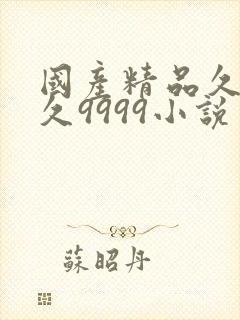 国产精品久久久久9999小说