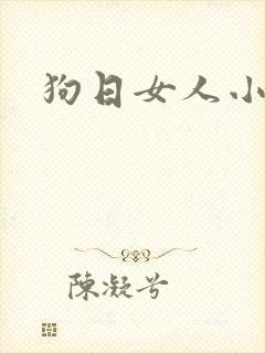 狗日女人小说