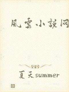 风云小说网