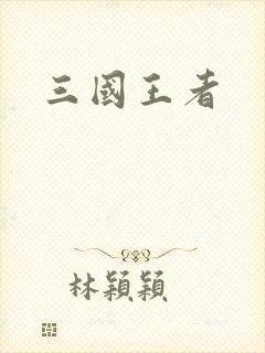 三国王者