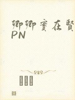 卿卿实在贤良NPN