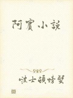 阿宾小说
