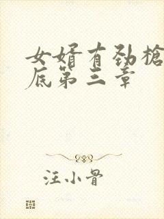 女婿有劲枪枪到底第三章