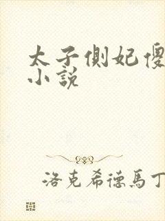 太子侧妃傻乎乎小说