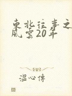 东北往事之黑道风云20年