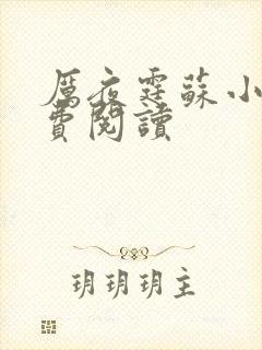 厉夜霆苏小汐免费阅读