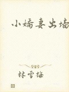 小娇妻出墙记