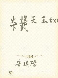 火爆天王txt下载
