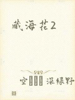 藏海花2