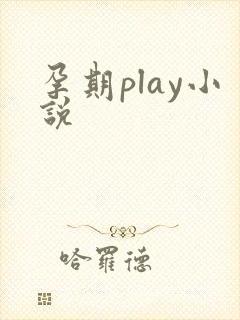 孕期play小说
