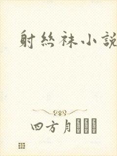射丝袜小说
