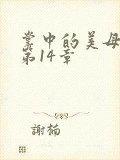 掌中的美母版主第14章