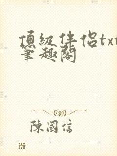 顶级伴侣txt笔趣阁