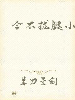 合不拢腿小说