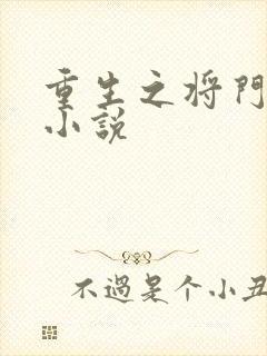 重生之将门毒后小说
