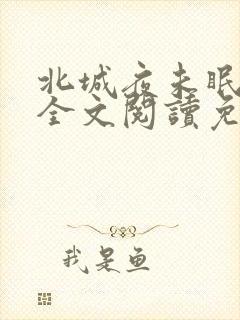 北城夜未眠小说全文阅读免费
