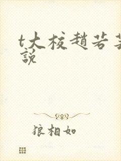 t大校赵若芸小说