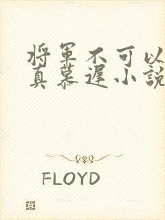 将军不可以魏云真慕迟小说笔趣阁