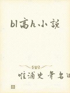 bl高h小说