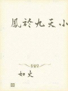 凤于九天小说