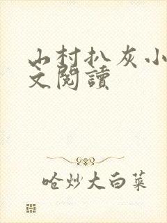 山村扒灰小说全文阅读