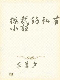 总裁的私有宝贝小说