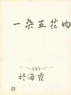 一朵五花肉
