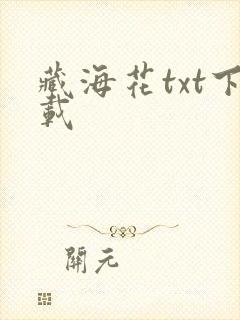 藏海花txt下载
