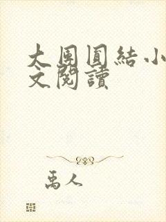 大团圆结小茹全文阅读