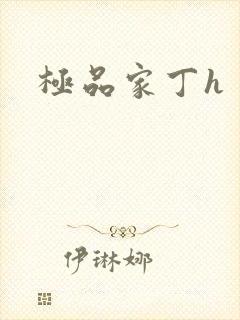 极品家丁h