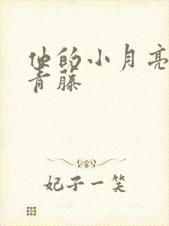 他的小月亮by青藤