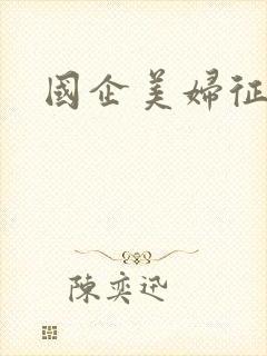 国企美妇征途