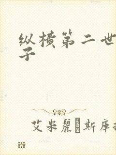 纵横第二世界宽子
