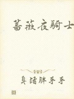 蔷薇夜骑士