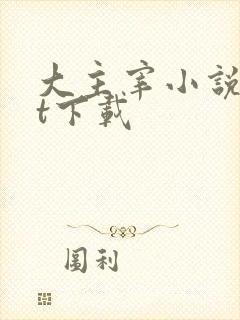 大主宰小说txt下载