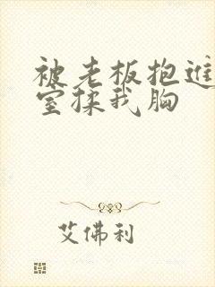 被老板抱进办公室揉我胸