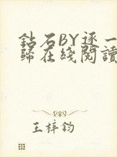 钻石BY逐一而归在线阅读