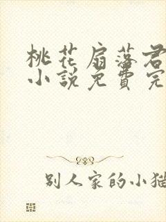 桃花扇落君不还小说免费完整版