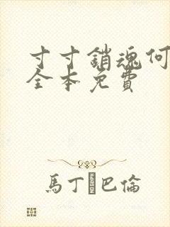 寸寸销魂何生祥全本免费