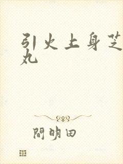 引火上身芝麻糖丸