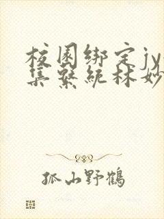 校园绑定jy收集系统林妙妙