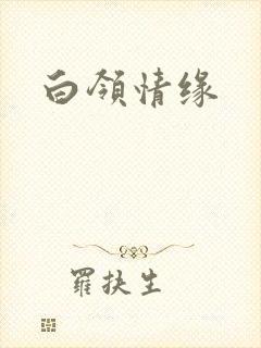白领情缘