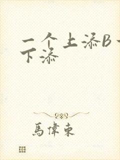 一个上添B一个下添